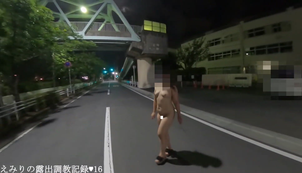 個人撮影 えみりの露出調教記録 夜の街中・路上で全裸露出散歩 動画