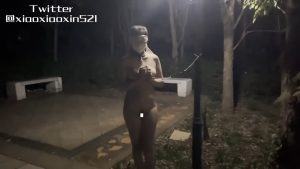 個人撮影 @xiaoxiaoxin 夜の公園で全裸目隠し首輪で繋がれ羞恥調教を受ける露出奴隷 動画